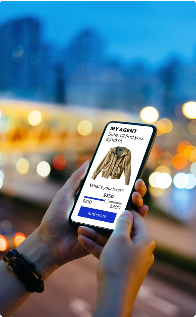 Agentic commerce checkout flow authorizing AI to complete purchase on user's behalf